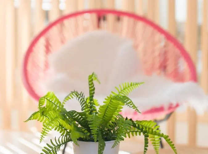 O Balcon Da Ribeira Otel Parada del Sil